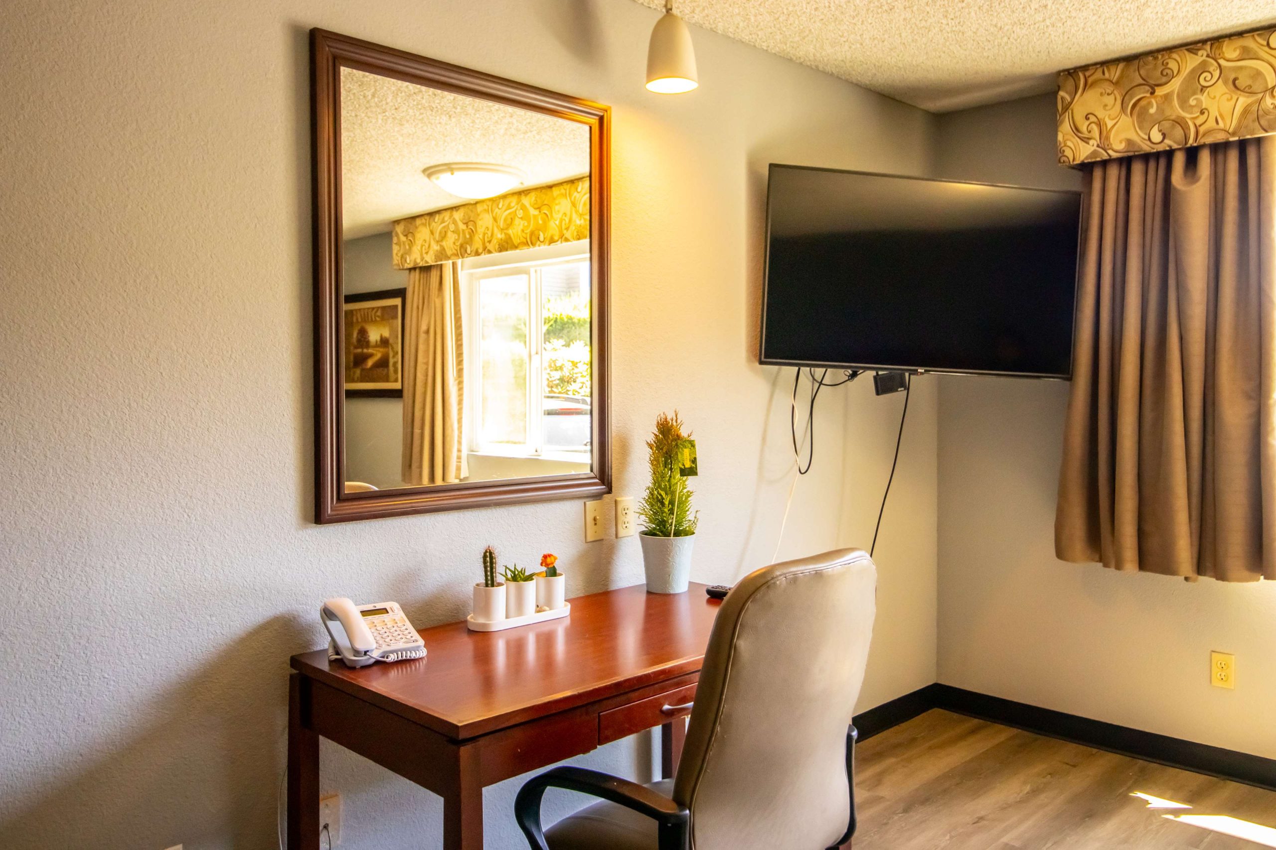 Executive Suite